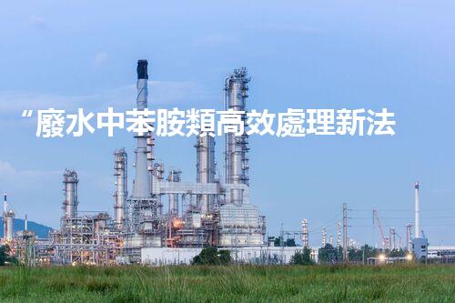 “廢水中苯胺類高效處理新法，環(huán)保先鋒引領(lǐng)綠色以后”